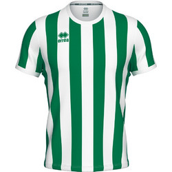 Errea Sport Strip Shirt Πράσινο/Λευκό Ανδρικό Αθλητικό T-Shirt Λευκό Πράσινο GM1B0C00900