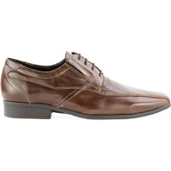 Boxer Ανδρικά Σκαρπίνια Derby Δερμάτινα Καφέ 41004-17-014