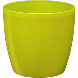 Plastona Roto Brill Κασπώ Δαπέδου Πλαστικό Lime 28x26cm 10.06.0801
