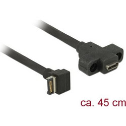 Delock Cable USB 3.1 Gen 2 key A 20 pin male to USB 3.1 Gen 2 USB Type-C female panel-mount 45 cm (85326)