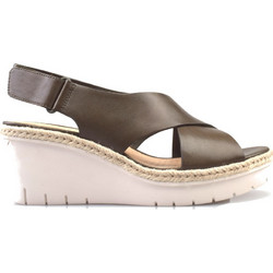 Palm Glow Khaki Leather