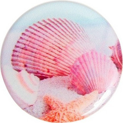 Pink Shells