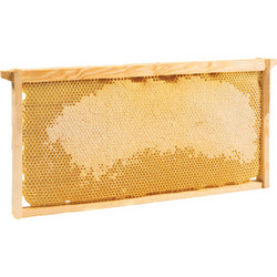 Πλαίσιο κηρήθρας - 2kg