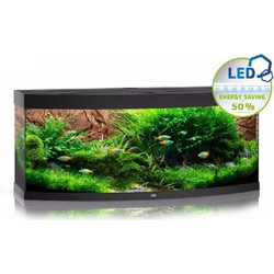 Juwel Aquarium Vision 450 Ενυδρείο Ψαριών με Φωτισμό, Θερμαντήρα, Κυκλοφορητή & Φίλτρο 450lt Μαύρο