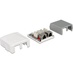 Delock Network Wall Outlet 2 Port Cat.6A LSA 86197