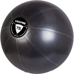 ΜΠΑΛΑ ΓΥΜΝΑΣΤΙΚΗΣ LIVEPRO Β-8201 CORE FIT (75 CM)