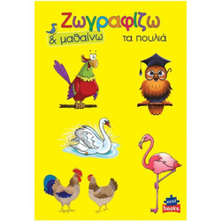 Next βιβλίο ζωγραφίζω και μαθαίνω Τα πουλιά 21x29εκ. 12 σελίδες