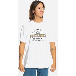 Quiksilver Ανδρικό T-shirt Floating Around