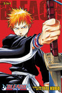 Bleach (3in1 Edition), Vol. 1 Bleach (3in1 Edition), Vol. 1