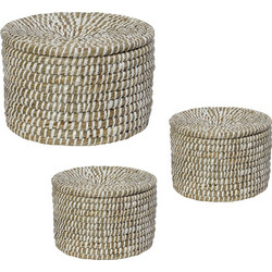 Δοχειο Στρογγ.με Καπακι Kans Grass Σετ/3 35X25/30X21/25X17Ek