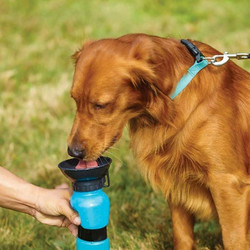 Πλαστικό Μπουκάλι Νερού 500ml για Κατοικίδια Μπλε