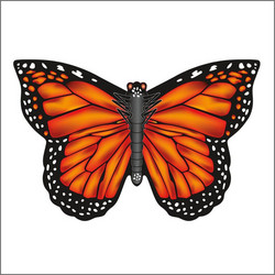 X-Kites ButterFly Χαρταετός Υφασμάτινος Ready to Fly - Monarch κωδικός 80526