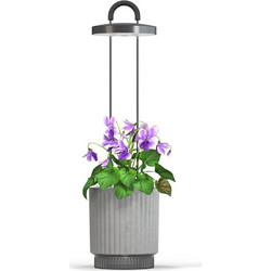 Click and Grow - HydroVase - Grey - Home and Kitchen