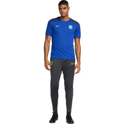 Nike FC Barcelona Ofiicial Strike Third Ανδρική Μπλούζα Dri-FIT - Season: CLOSE OUT