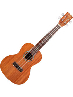Cordoba 15CM Concert Bundle