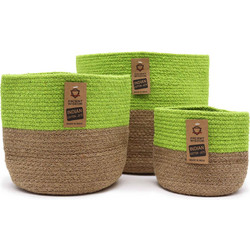 Set of 3 Cotton Rope Storage Baskets - Pistachio