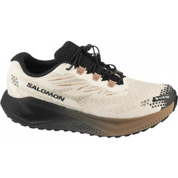 Salomon Aero Blaze 4 GRVL GTX Ανδρικά Αθλητικά Παπούτσια Εκρού L454032