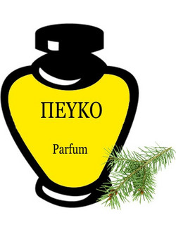ΠΕΥΚΟ PARFUM OIL 20ML