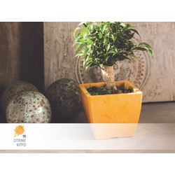 Κασπώ τετράγωνο Linea Natura No 560.5 15x15x12,5cm Citrine