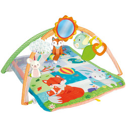 Clementoni Baby Soft Activity Gym