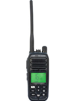 PNI DS890