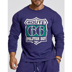 Evolution Body 2655 Purple