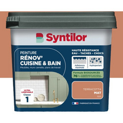 Syntilor Renov'Cuisine &Bain Χρώμα Πλακιδίων Τερακότα 0.75lt