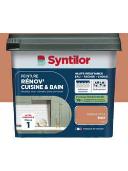 Syntilor Renov'Cuisine &Bain Χρώμα Πλακιδίων Τερακότα 0.75lt