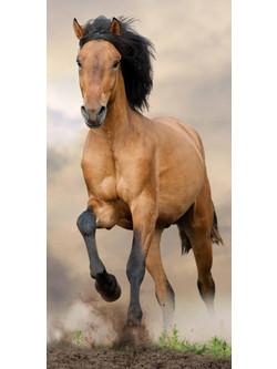Horses Παιδική Πετσέτα Θαλάσσης Καφέ 70x140cm BRM013759