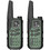 Baofeng BF-T25E Duo Black Green