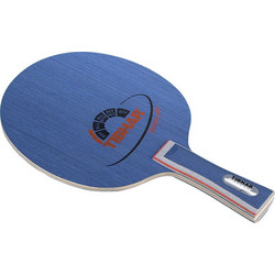 Tibhar Defense Plus ST