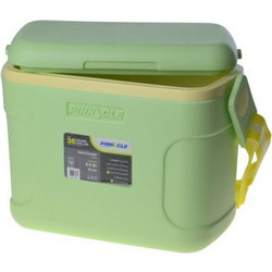 Pinnacle Passion Φορητό Ψυγείο 8lt Lime 31554