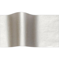 Metron Art Χαρτόνι Ασημί Μεταλλιζέ 50x70cm 828.230.7456