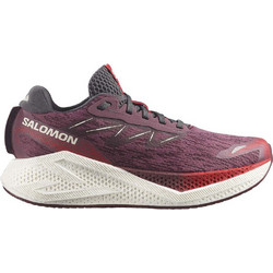 Salomon Aero Glide 4 Γυναικεία Αθλητικά Παπούτσια για Τρέξιμο Μπορντό L492269