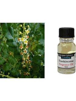 Ancient Wisdom Cooling Αιθέριο Έλαιο Λιβάνι 10ml