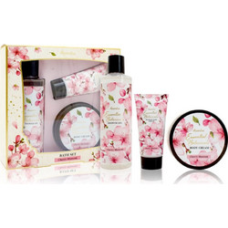 Accentra Essential Botanicals Shower Gel 240ml + Body Cream 200ml + Hand Cream 60ml