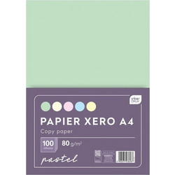 interDRUK Xero Pastel Χαρτί Α4 80gr/m² 100 Φύλλα Πολύχρωμο