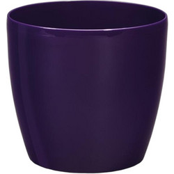 Plastona Roto Brill Κασπώ Δαπέδου Πλαστικό Μωβ 18x16.5cm 10.02.0104