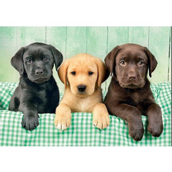 Puzzle Clementoni Labrador Puppies 1000 Κομμάτια 39946