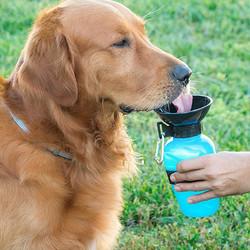 Μπουκάλι ποτίστρα σκύλων Innovagoods