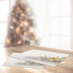 Σουπλά 45x33cm Saint Clair Christmas 3035