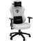 Anda Seat Phantom 3 Large Καρέκλα Gaming Δερματίνης με Ρυθμιζόμενα Μπράτσα Λευκή Anda Seat Phantom 3 Large Καρέκλα Gaming Δερματίνης με Ρυθμιζόμενα Μπράτσα Λευκή