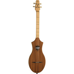 Seagull M4 Mahogany