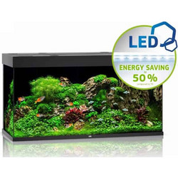 Juwel Aquarium Rio 350 Ενυδρείο Ψαριών με Φωτισμό, Θερμαντήρα, Κυκλοφορητή & Φίλτρο 350lt Μαύρο