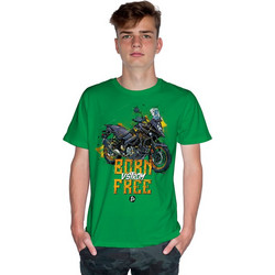 BORN FREE - V-STROM - DC (Κοντομάνικο Ανδρικό / Unisex) - Kelly green