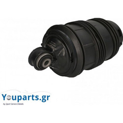 Αερόφουσκα Magnum MZM013MT Mercedes-Benz CLS-W211 οπίσθια δεξιά