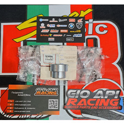 Αποστάτης Άξονα Ψαλιδιού Για Gilera/Aprilia Gp800-Srv850 2007-2014 Μοντέλα Καινούργιο Γνήσιο