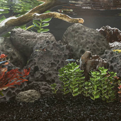 vidaXL Πέτρες Ηφαιστειακές Μαύρες 25 Κιλά 10-30 εκ. 155326