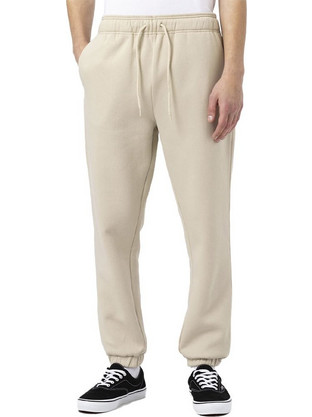 Dickies Mapleton Sweatpants DK0A4XIM-C39