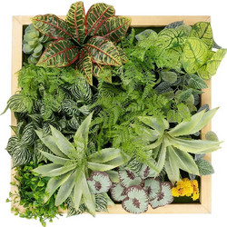 VARIOUS PLANT 20641 Τεχνητό Διακοσμητικό Φυλλωσιάς σε Ξύλινο Πάνελ - Κάθετος Κήπος Μιξ Μ60 x Π60 x Υ32